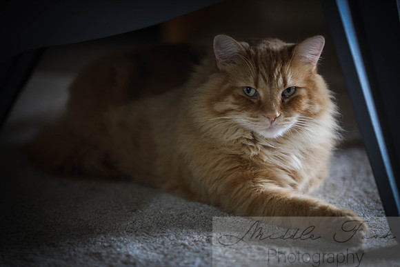 724A5696