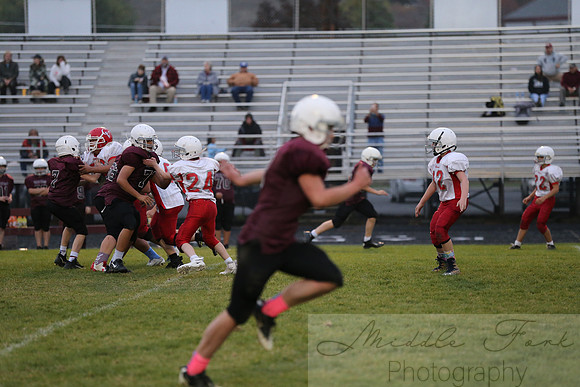 IMG_4184